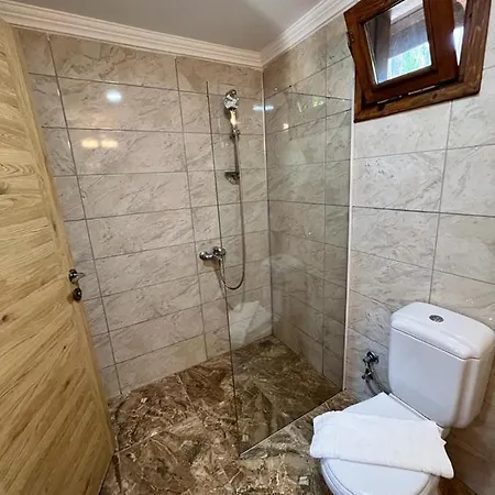Alicra 4*