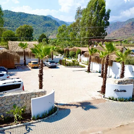 Alicra 4*