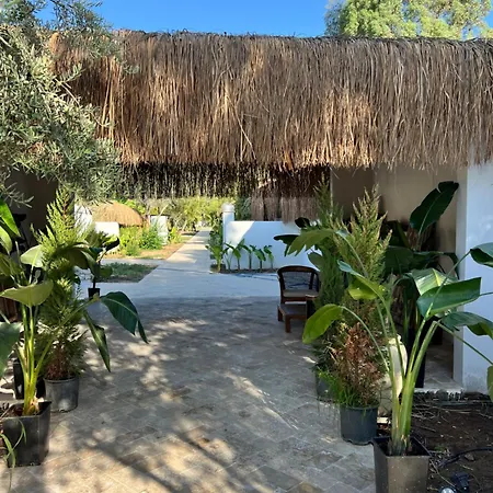 Hotel Alicra 4*